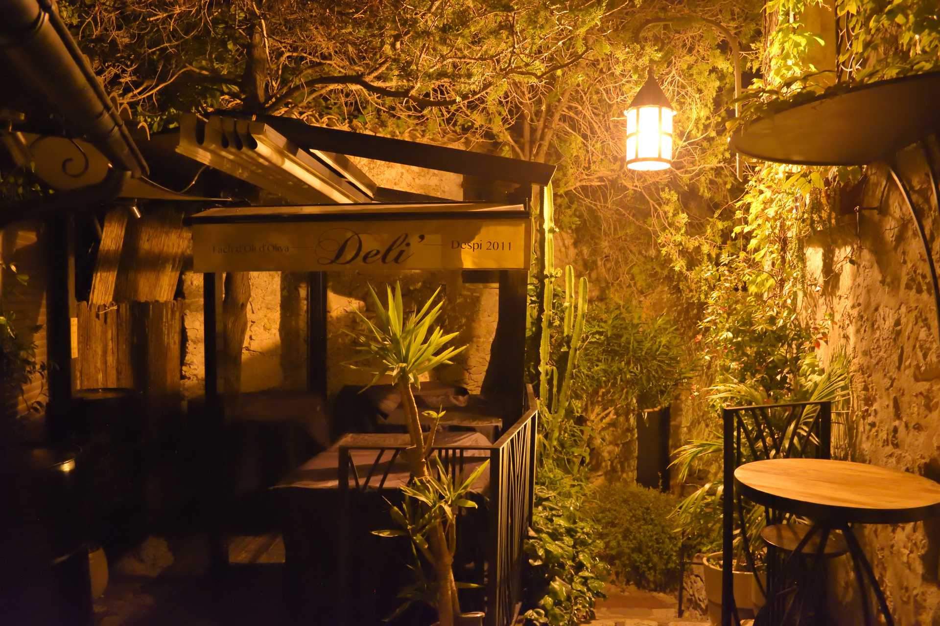 6th Day Eze Village Night Walk 44