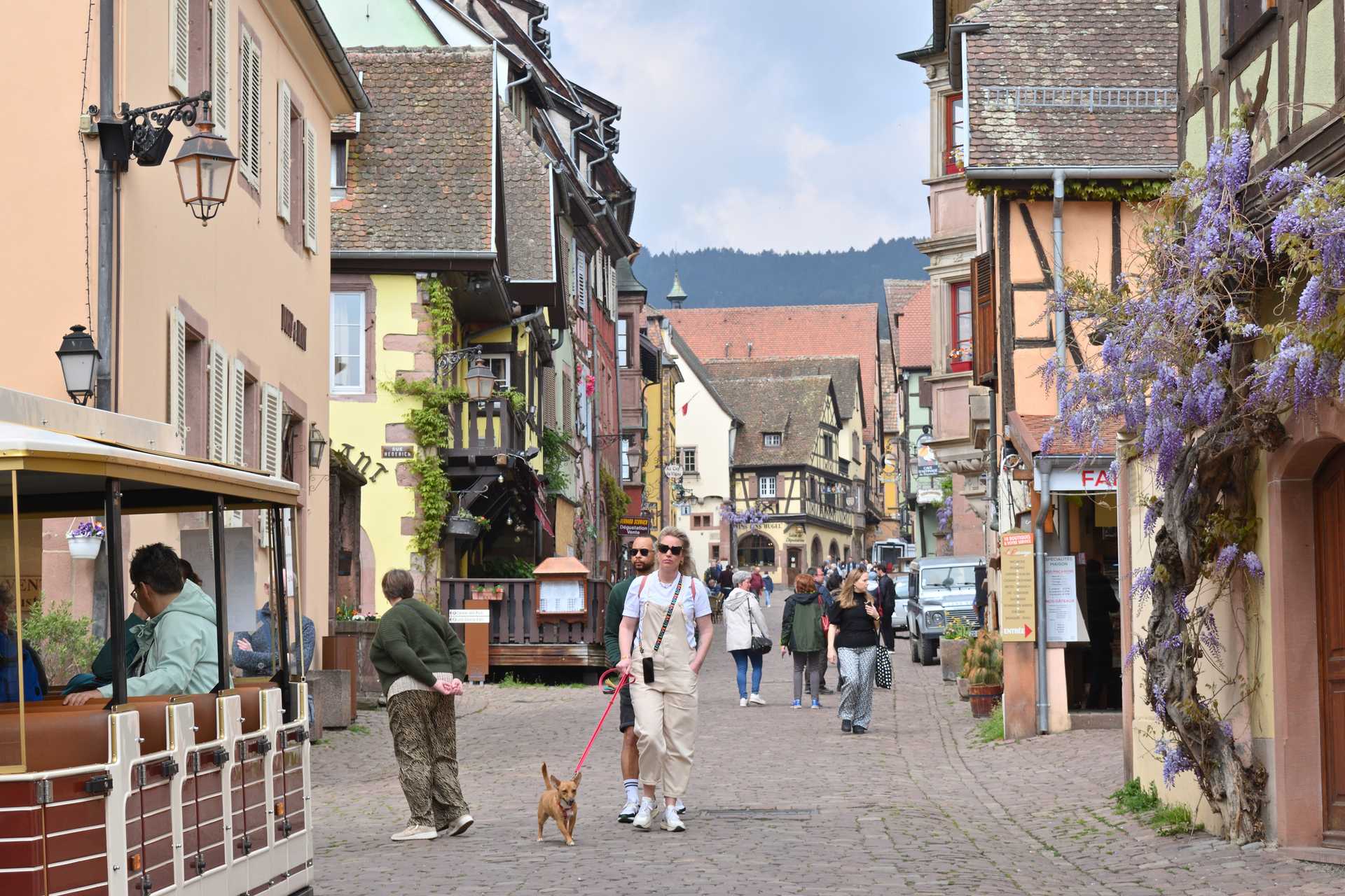 Colmar 4th Day Riquewihr Rue du General de Gaulle 10