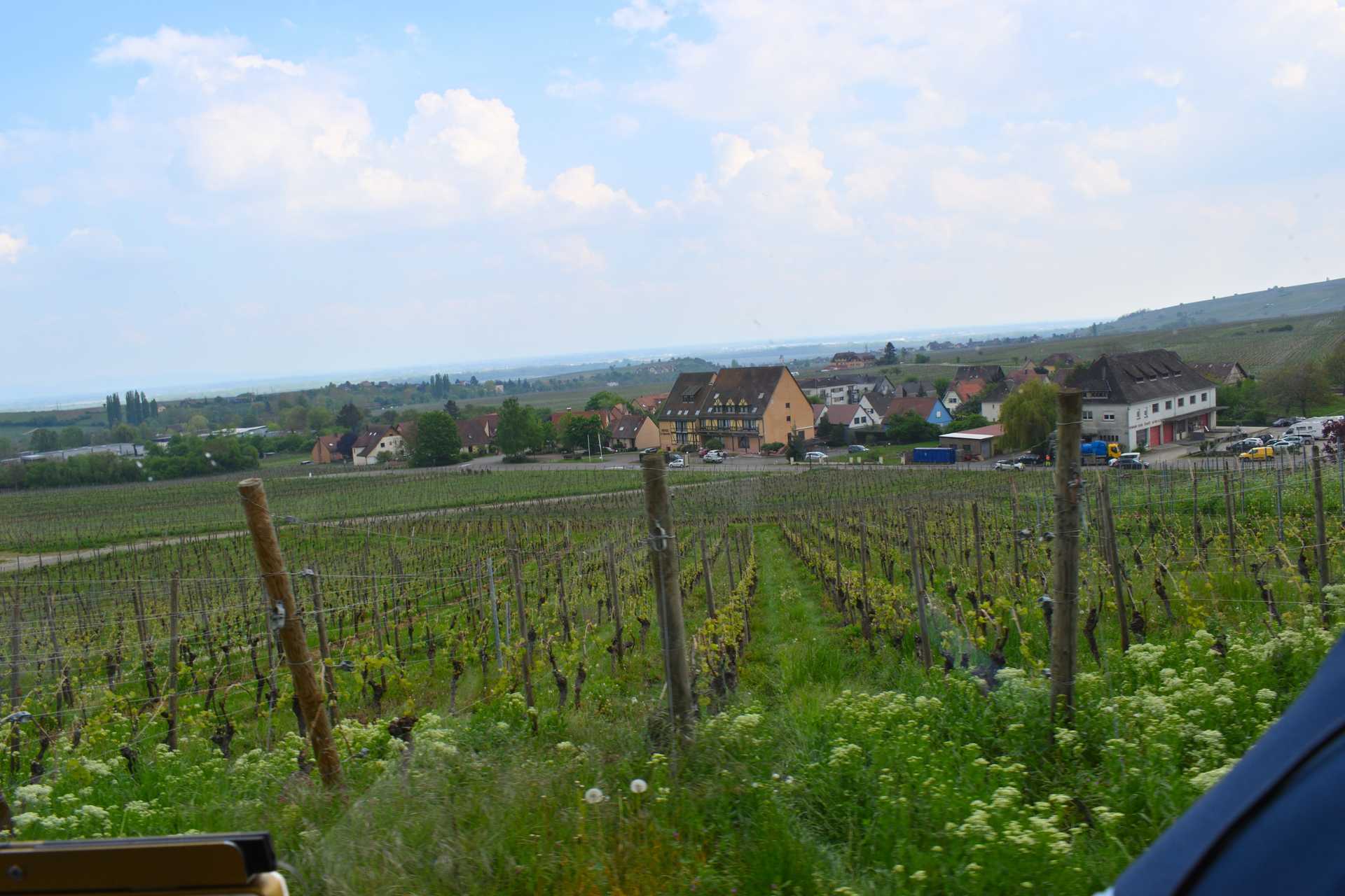 Colmar 4th Day Riquewihr Petit Train SAAT 46