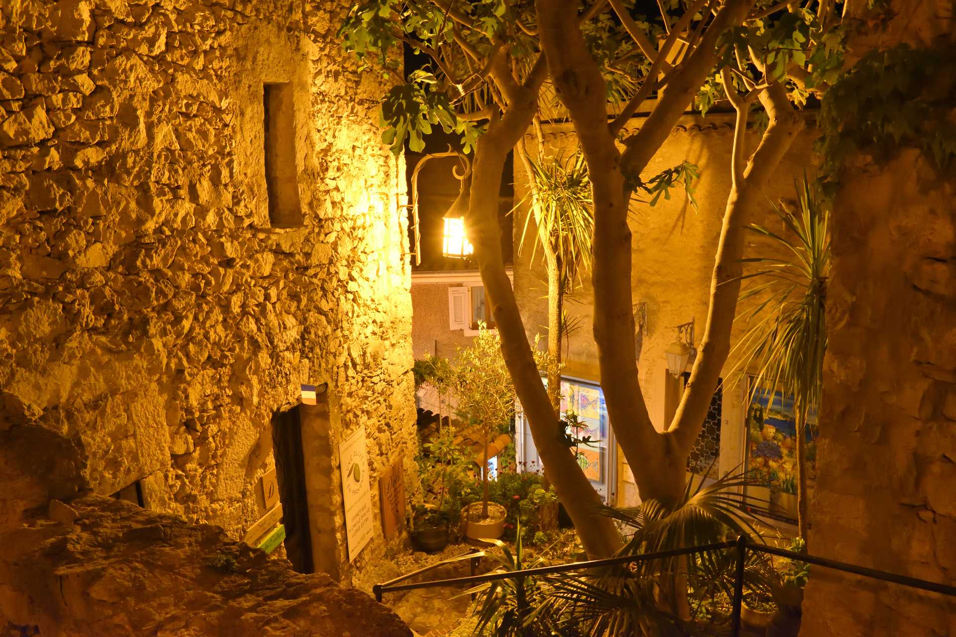 6th Day Eze Village Night Walk 43