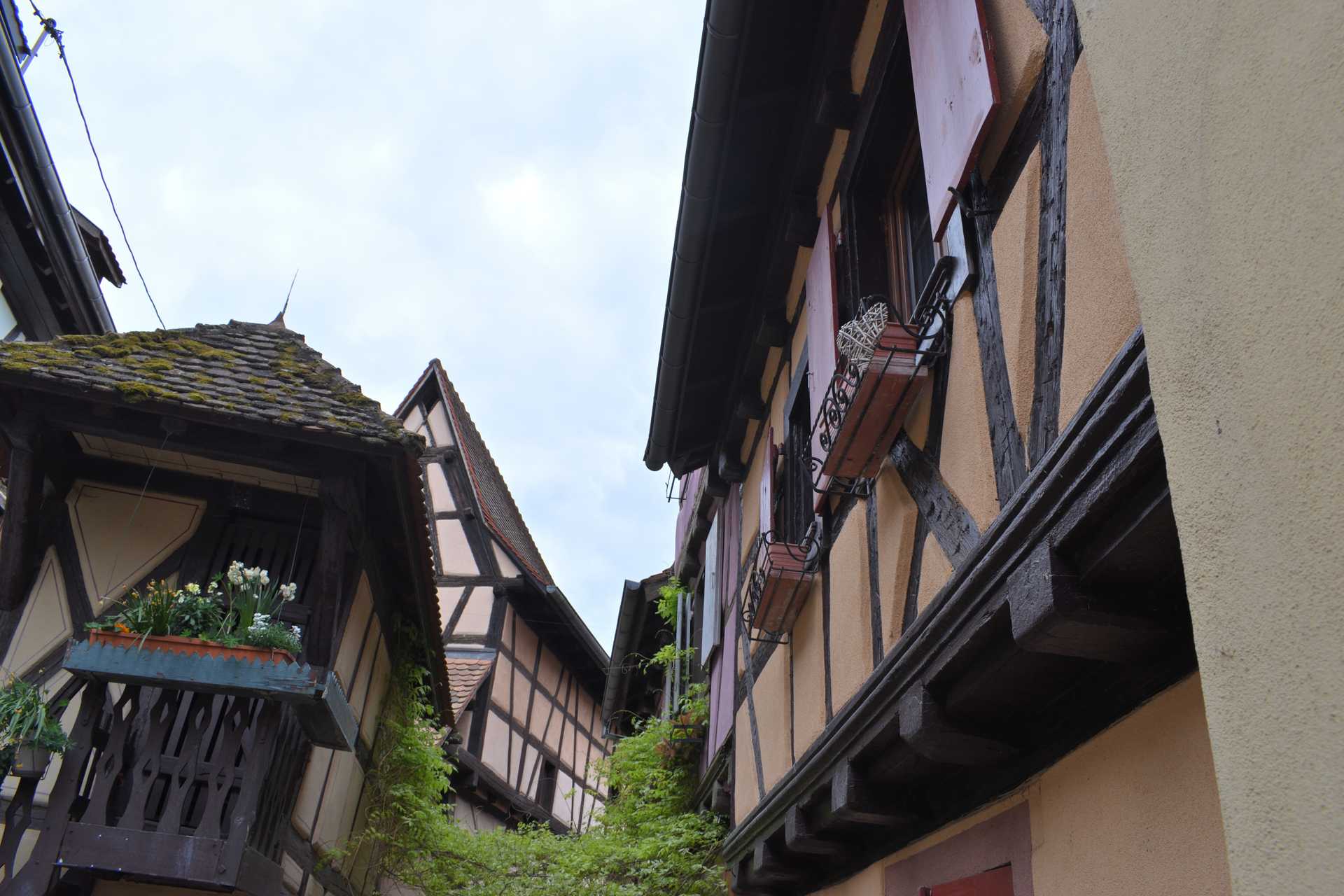 Colmar 3rd Day Eguisheim La Grange d'Eguisheim 6