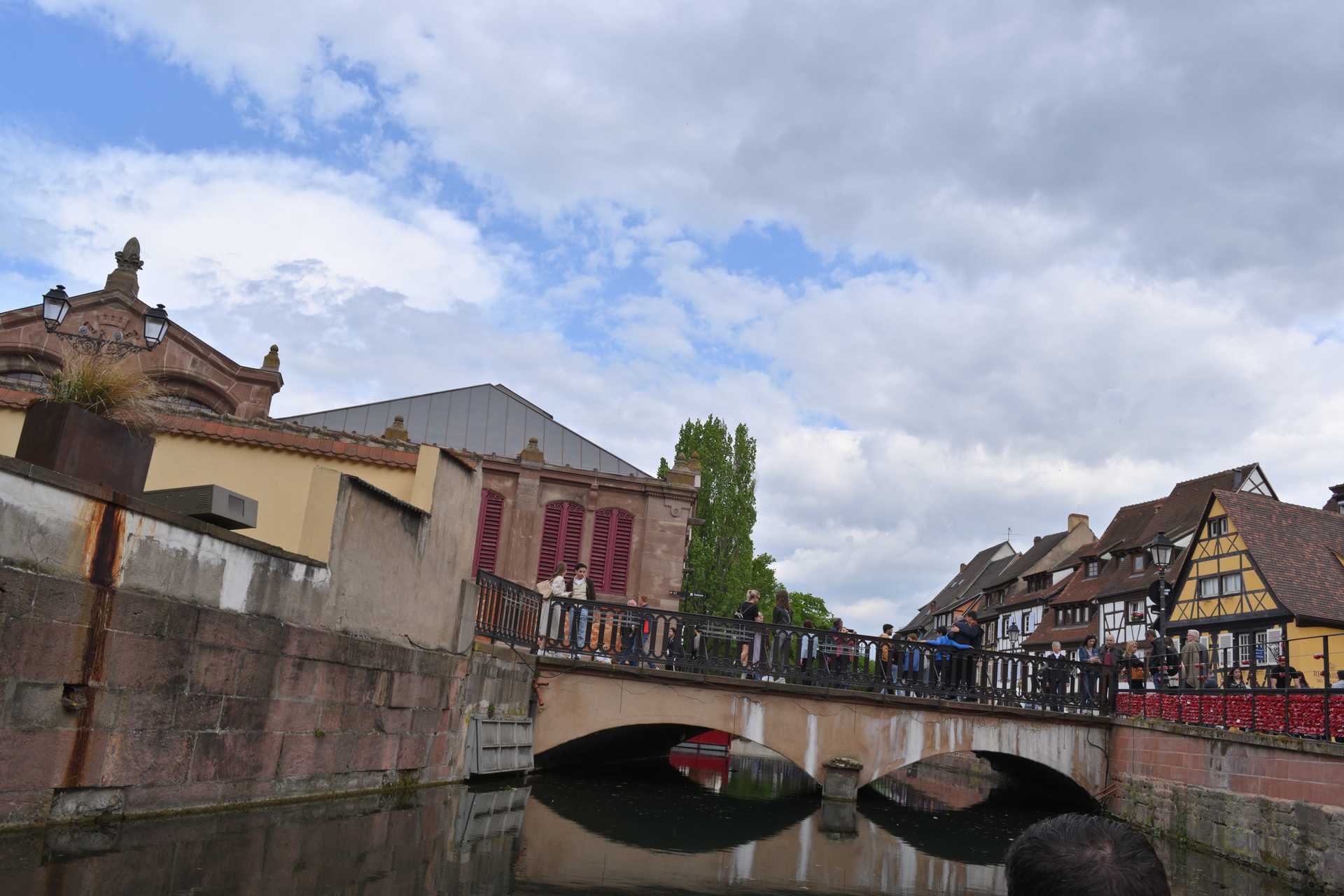 Colmar 3rd Day Sweet Narcisse Go 39