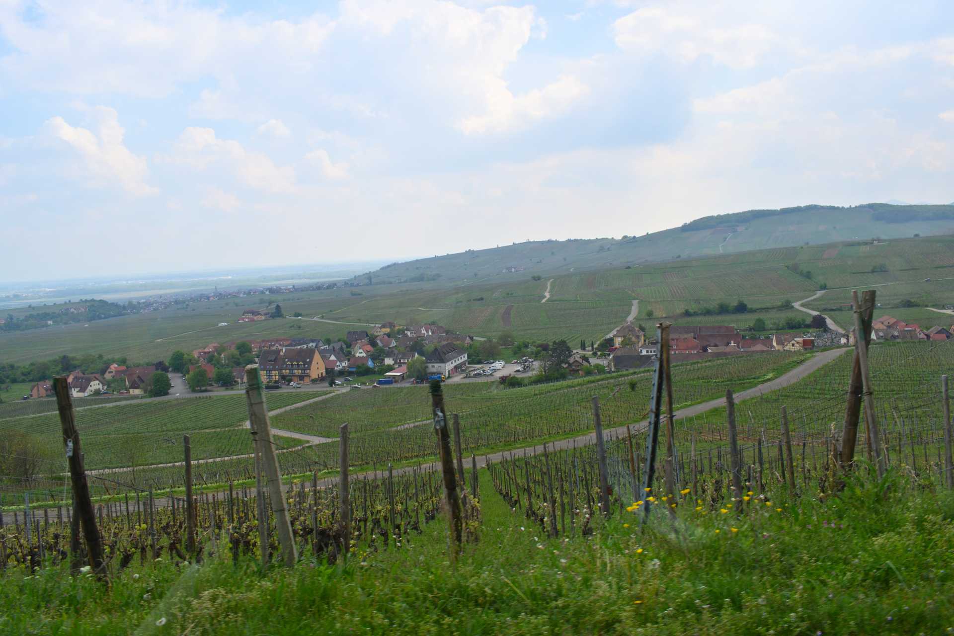Colmar 4th Day Riquewihr Petit Train SAAT 42