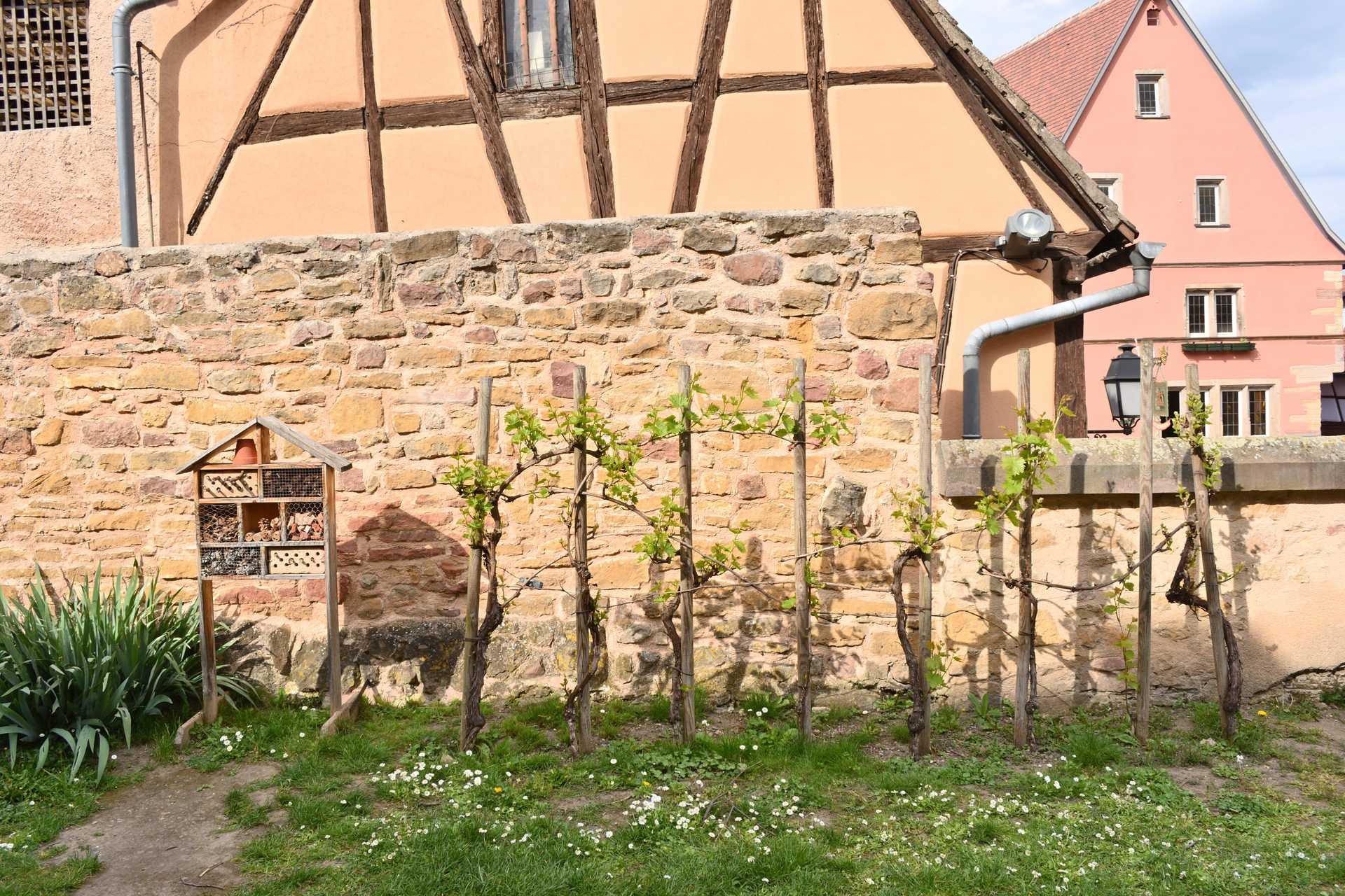 Colmar 3rd Day Eguisheim Pl du Chateau Saint Leon 11