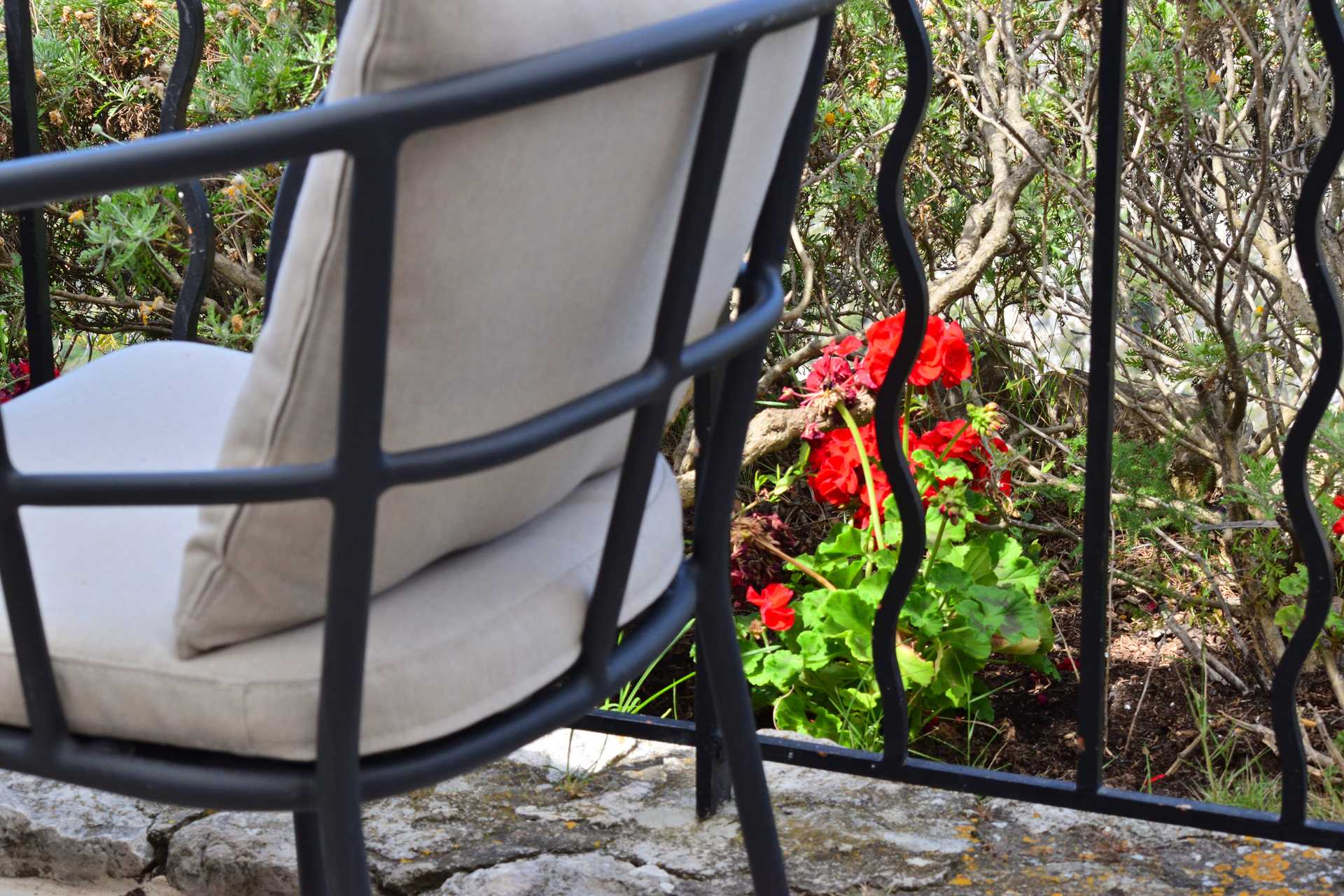 7th Day Eze Village Chateau Eza Lunch 8