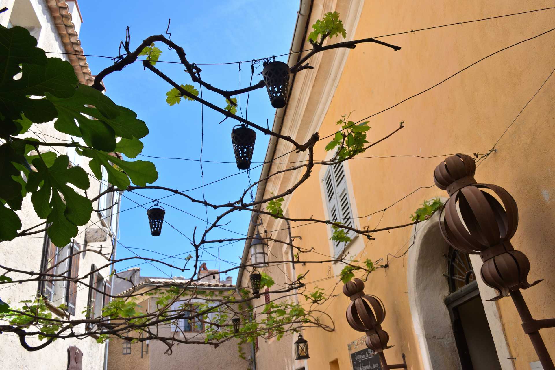 6th Day Eze Village towards Exotic Jardin 60