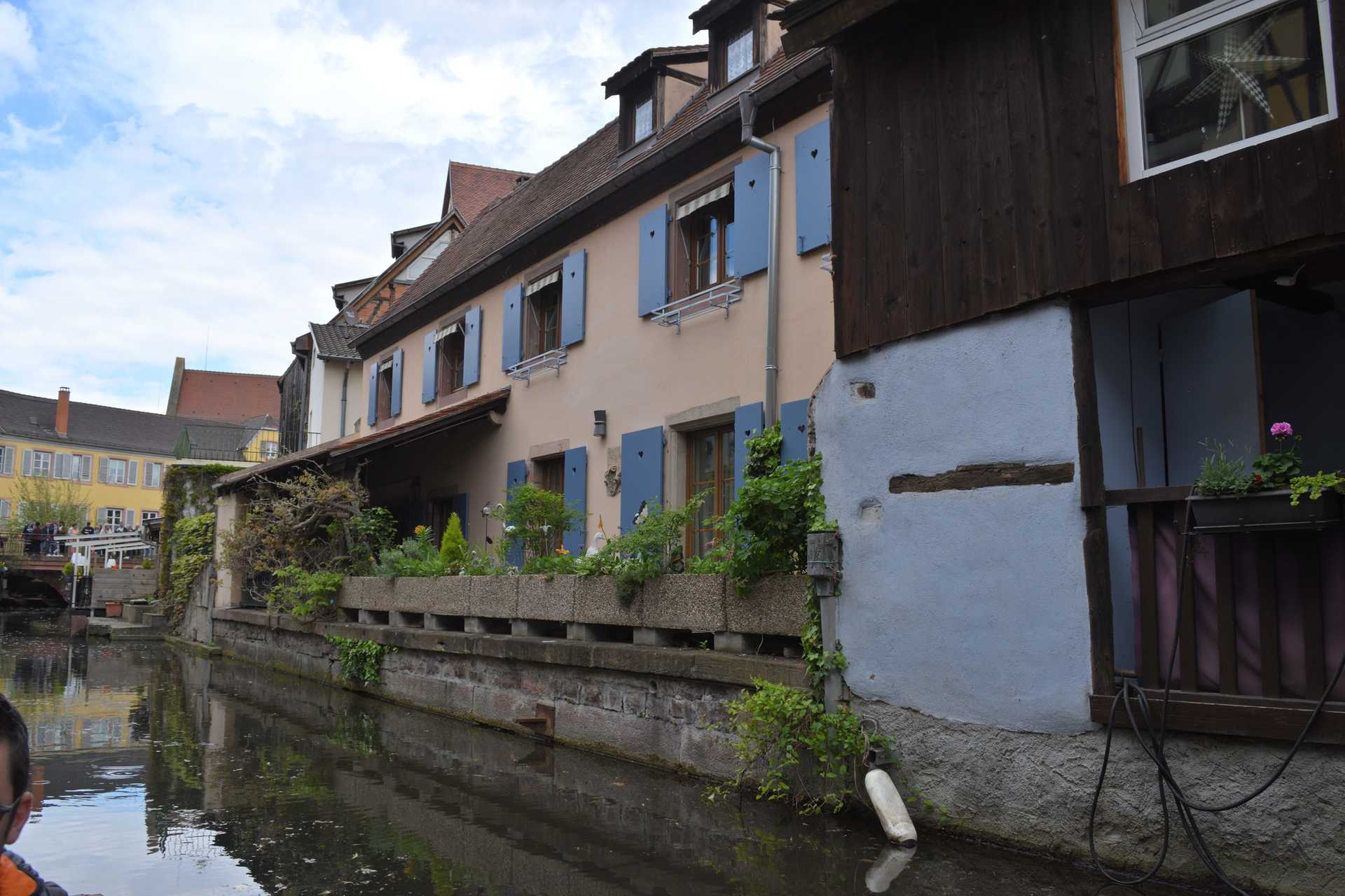 Colmar 3rd Day Sweet Narcisse Go 17