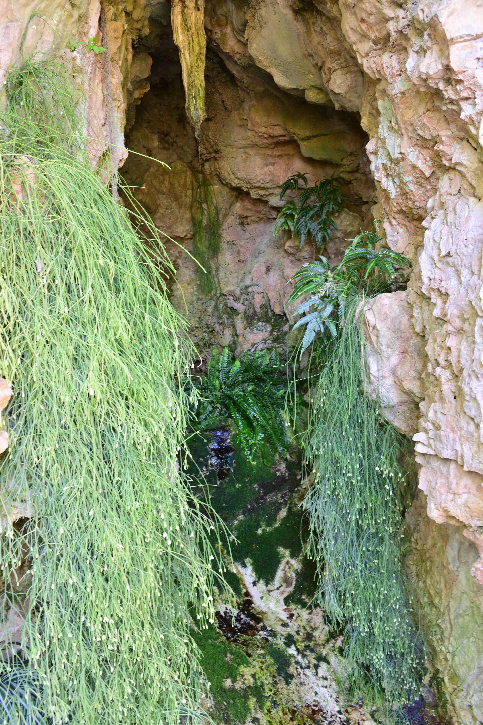 6th Day Eze Village Exotic Jardin Walk Around 57