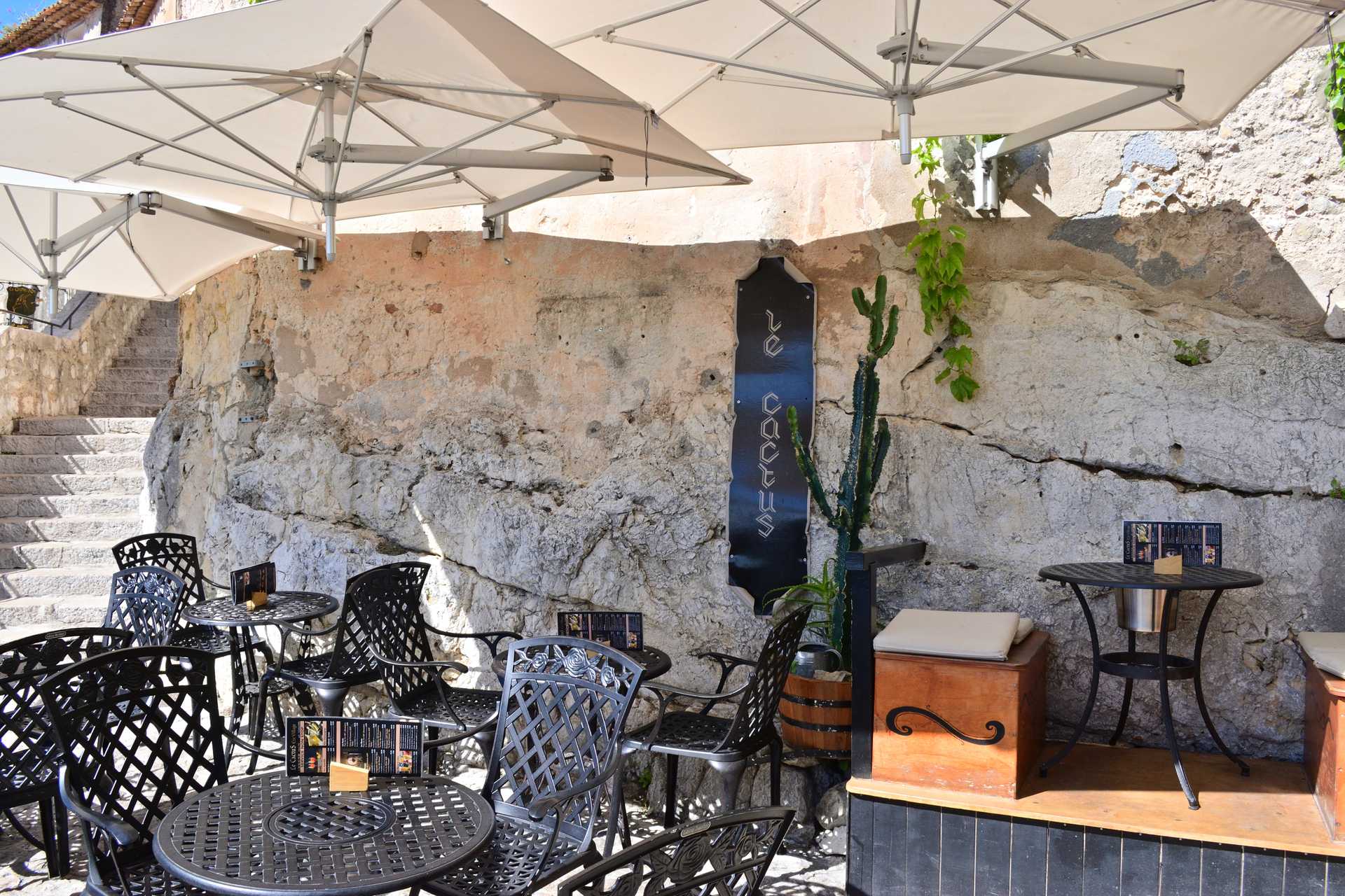 6th Day Eze Village towards Exotic Jardin 7