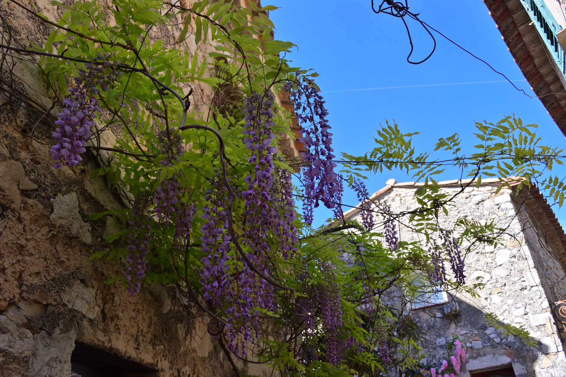 6th Day Eze Village towards Exotic Jardin 36