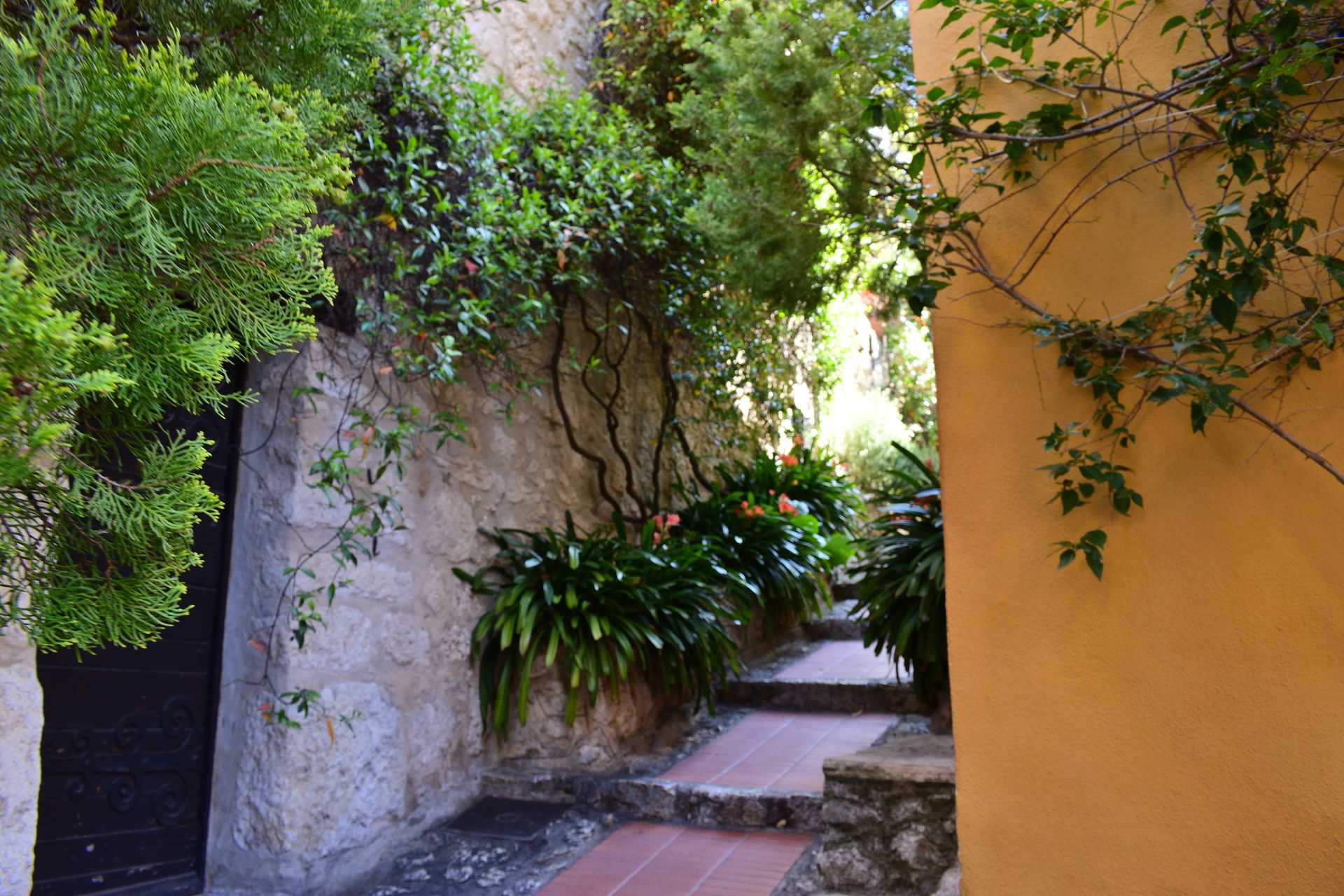 6th Day Eze Village towards Exotic Jardin 48