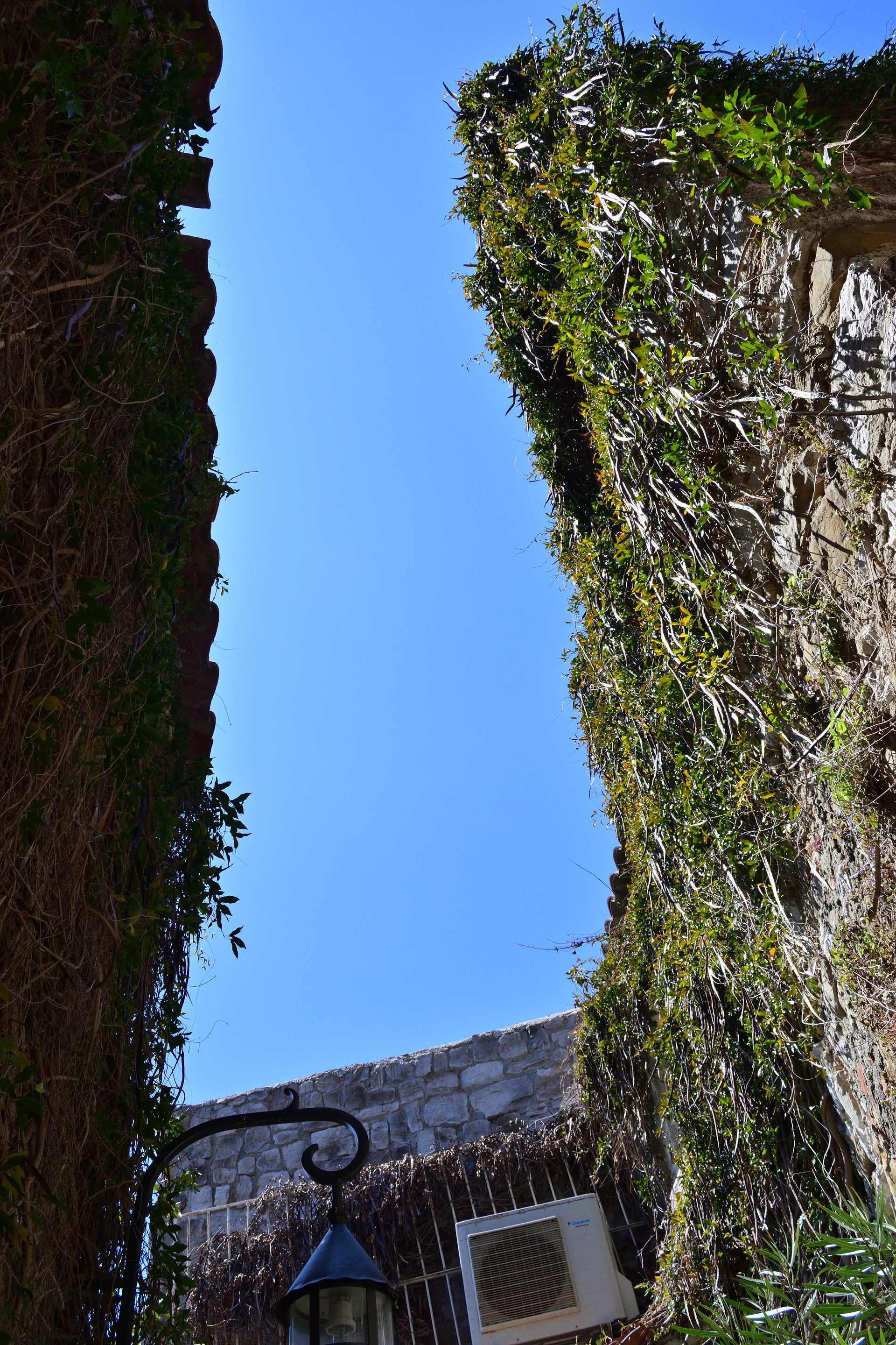 6th Day Eze Village Walk Around the Village 14