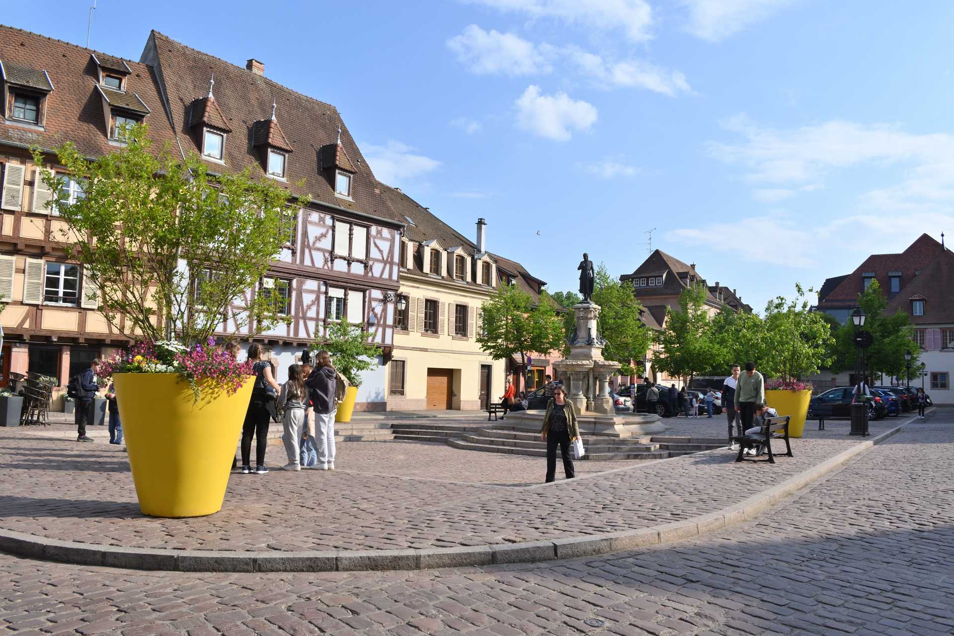 Colmar 4th Day Free Time Parc to Poissonnerie 8