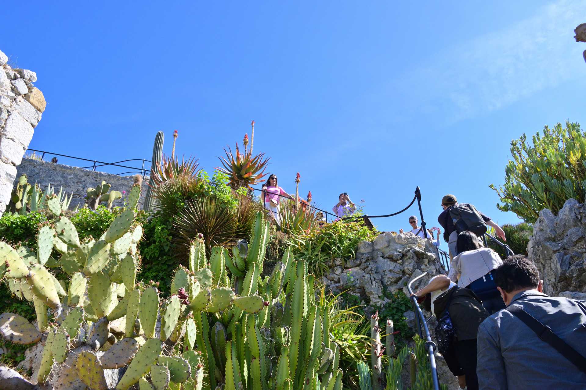 6th Day Eze Village Exotic Jardin to The Top 14