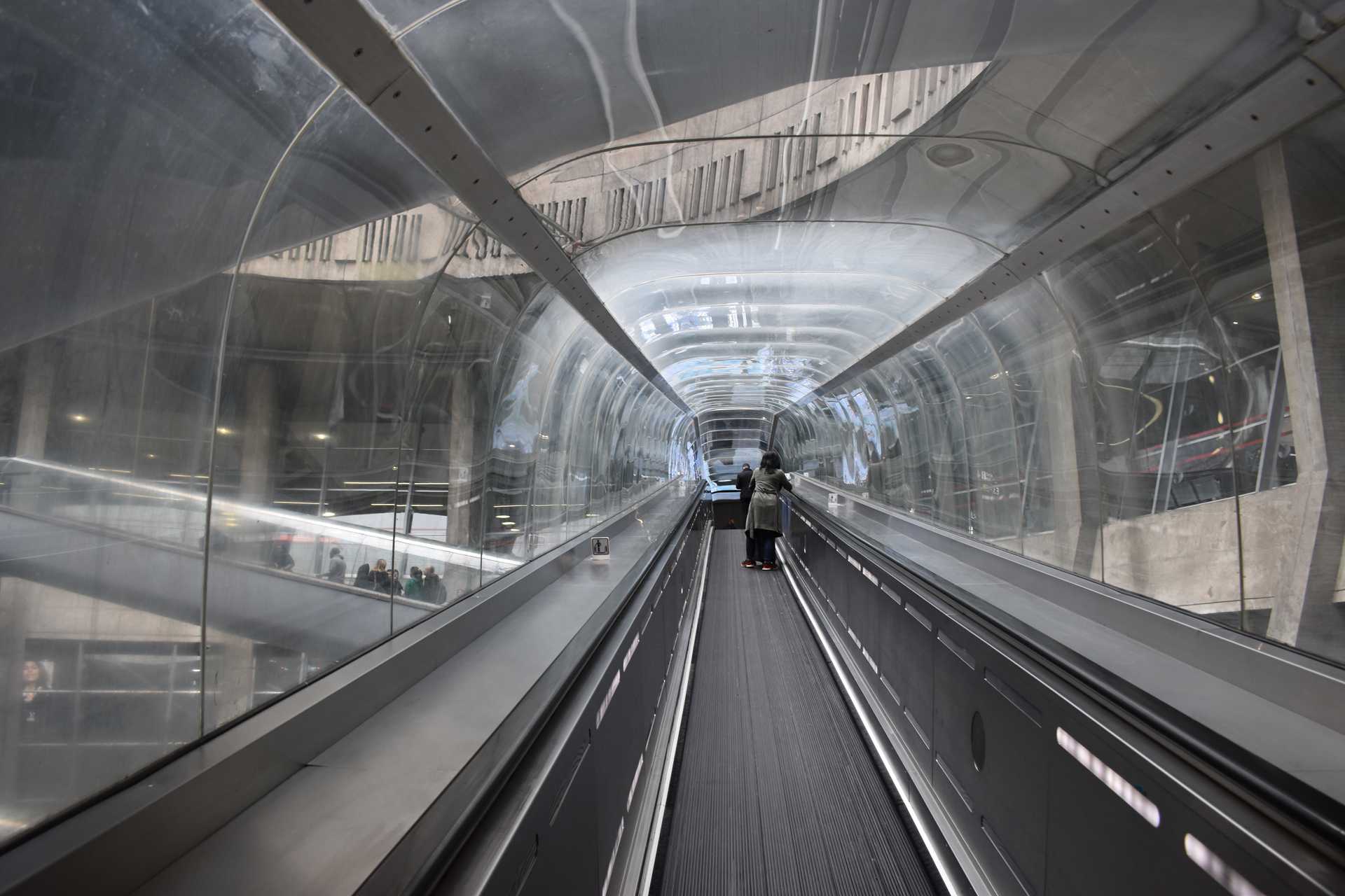 Paris Chales de Gaulle Airport Skelton Walk