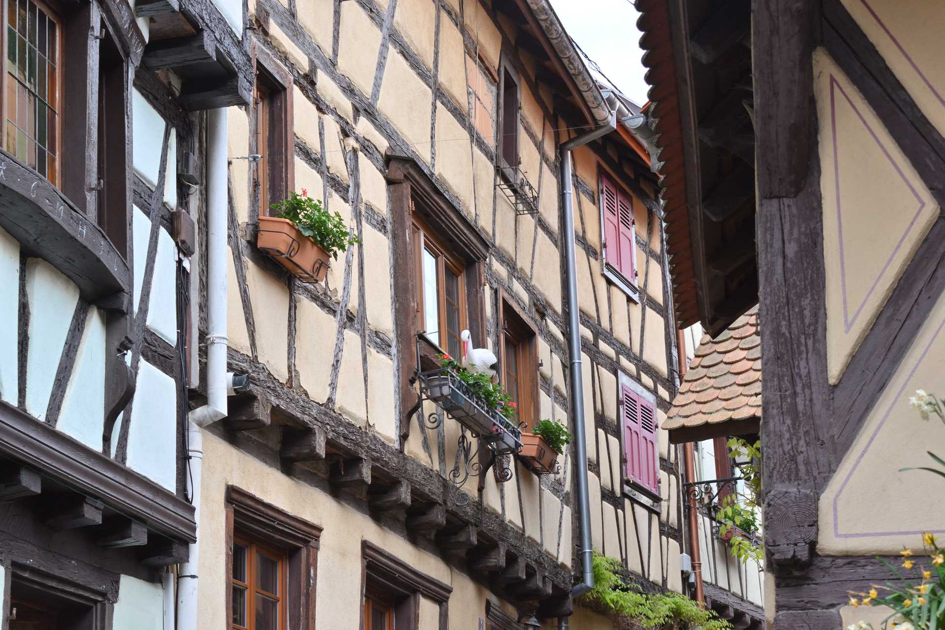 Colmar 3rd Day Eguisheim La Grange d'Eguisheim 7