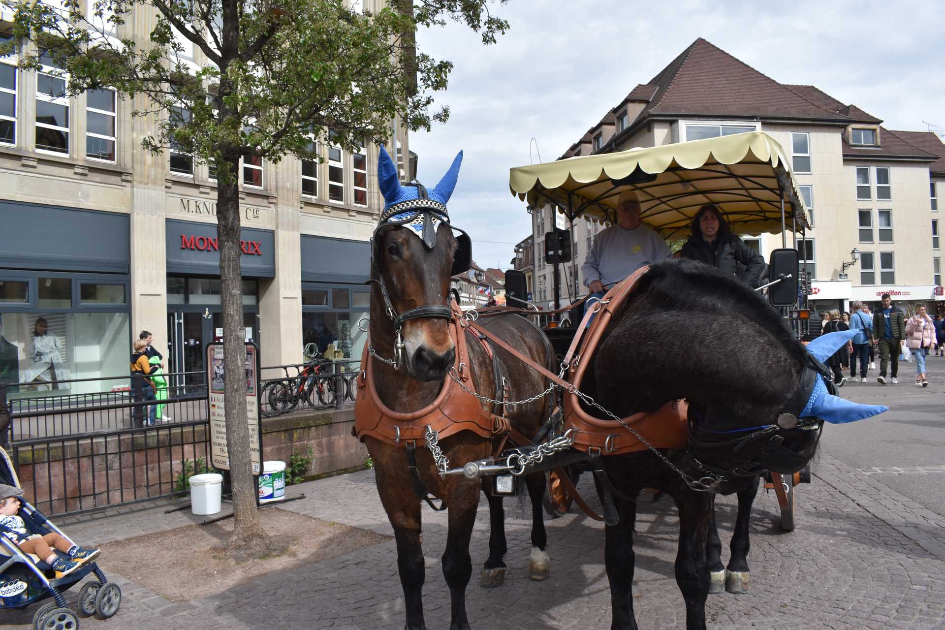 Colmar 2nd Day Rue des Clefs 5