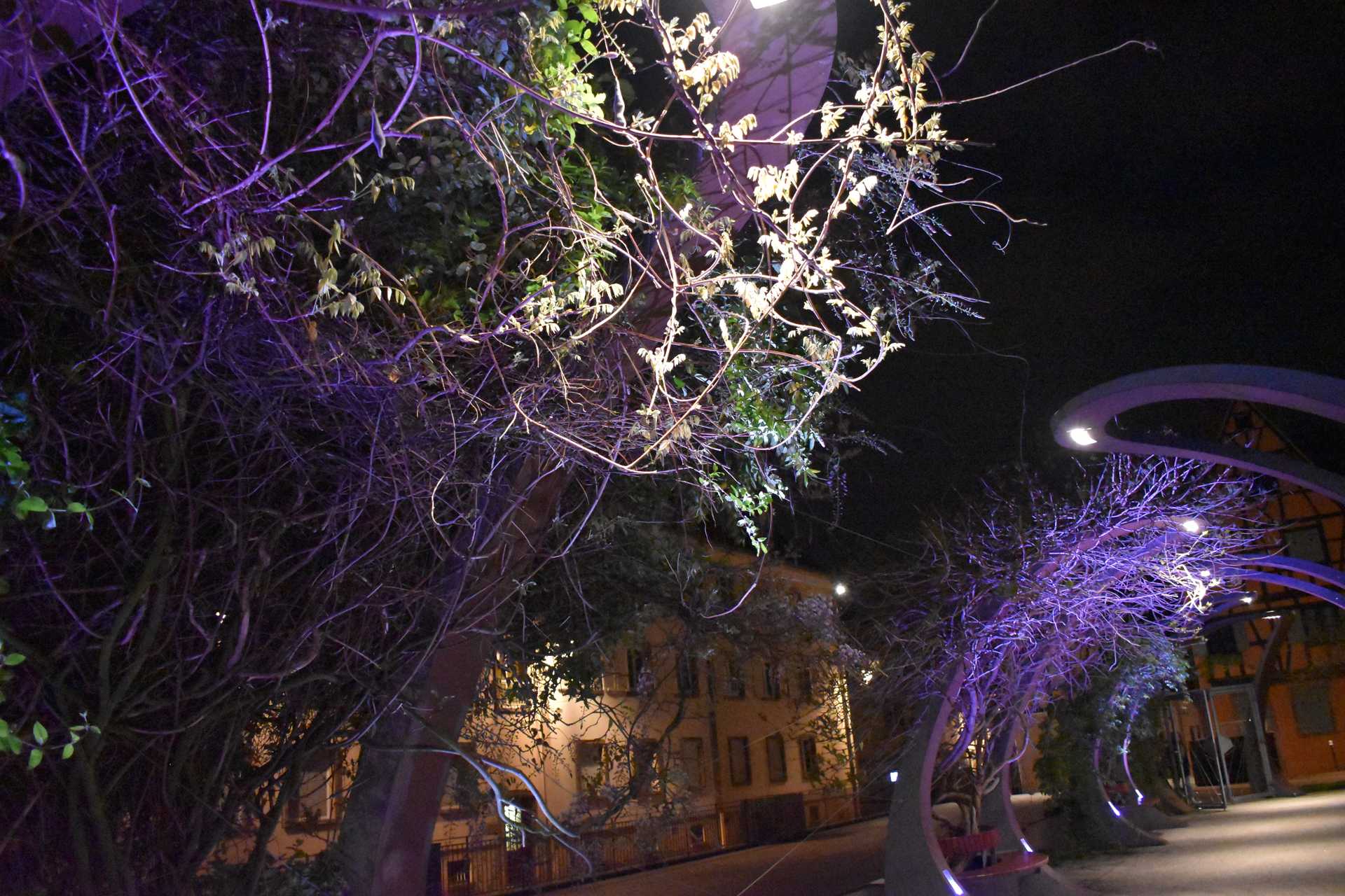 Colmar Night Lighten Up 18